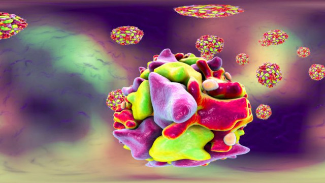 Германските здравни власти съобщиха днес че в град Хамбург е била открита проба